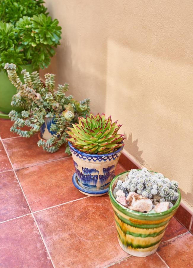 El Agave Эль-Посо-де-лос-Фрайлес Экстерьер фото